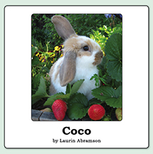 Coco